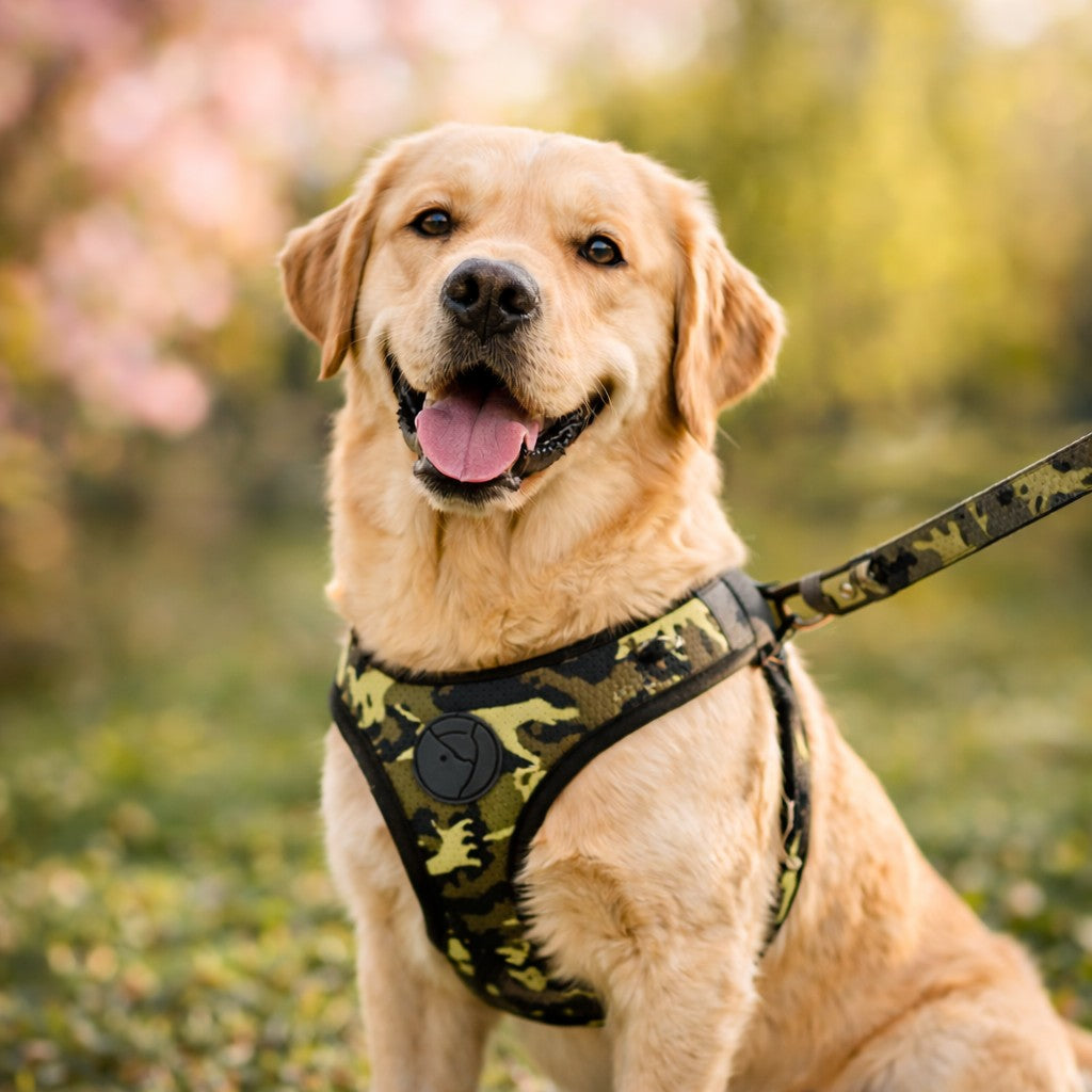Urban camo luxe hondenriem voor kleine & grote honden