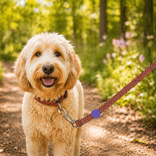 Luxe lizard hondenriem