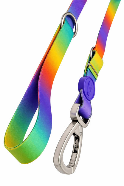 Originele hondenriem, sterk & stijlvol