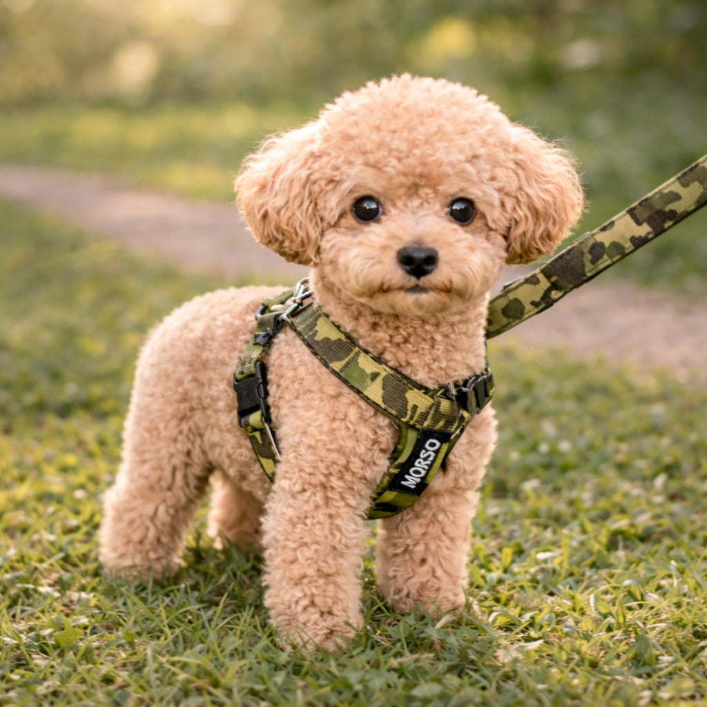 Urban camo luxe hondenriem