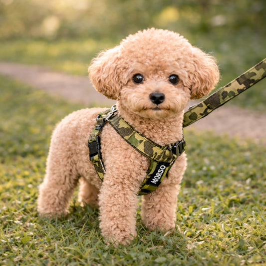 Urban camo luxe hondenriem