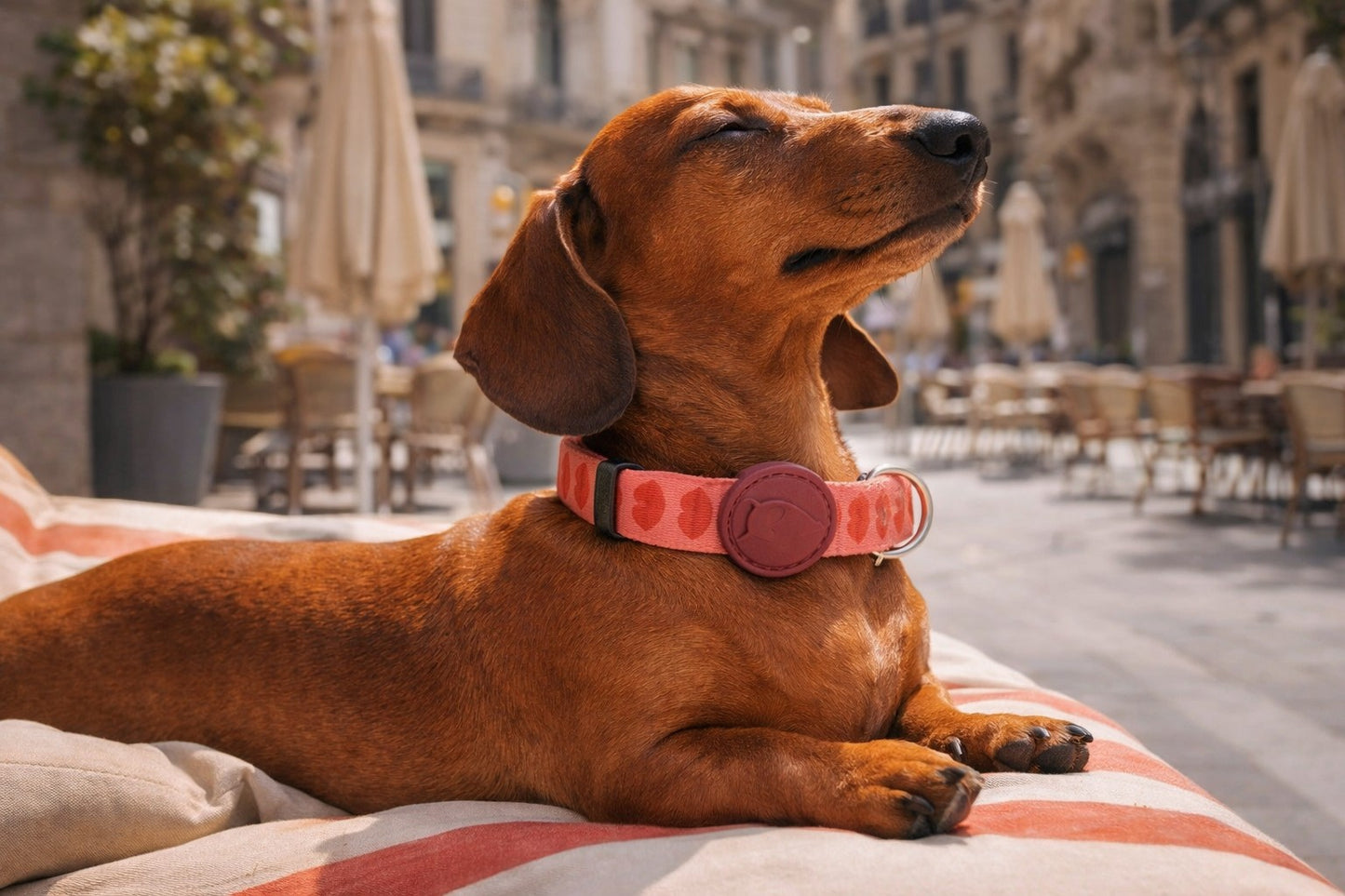 Morso Collar Recycled Lipstick Pink