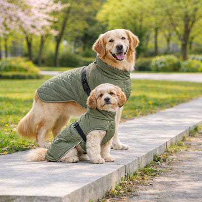 Trixie Minot Dog Coat Olive Green, water-repellent, warm & perfect fit