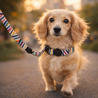 CityStyle premium leiband